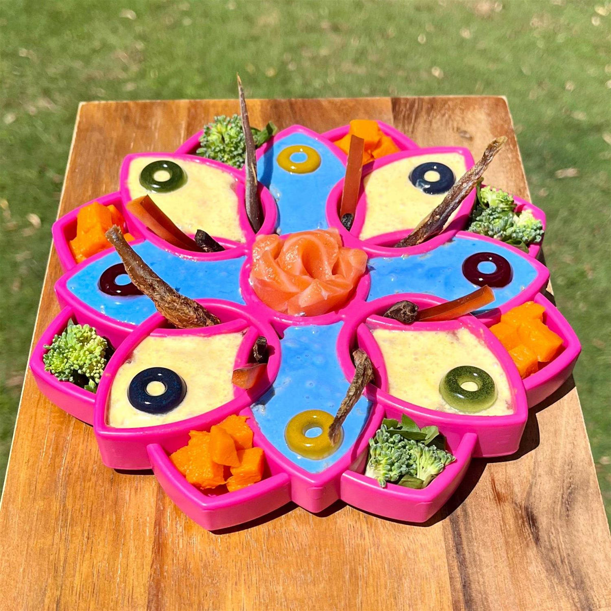 Mandala Design Enrichment Tray for Dogs G126