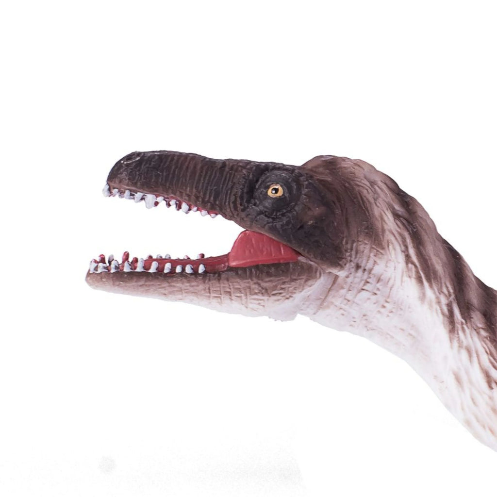 Articulated Jaw Troodon Dinosaur Figurine A96859