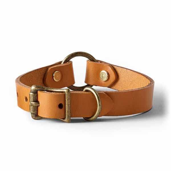 Leather Dog Collar Z601
