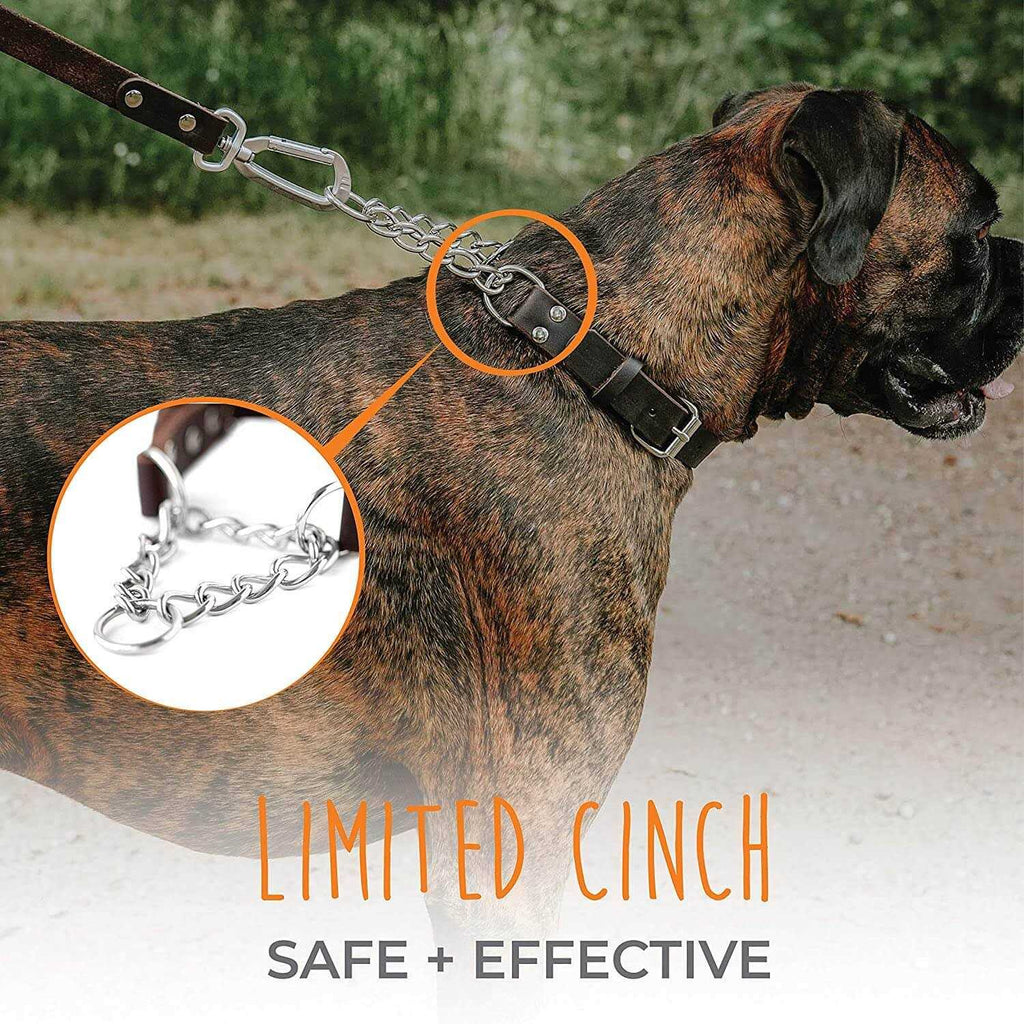 Leather Martingale Collar G3164