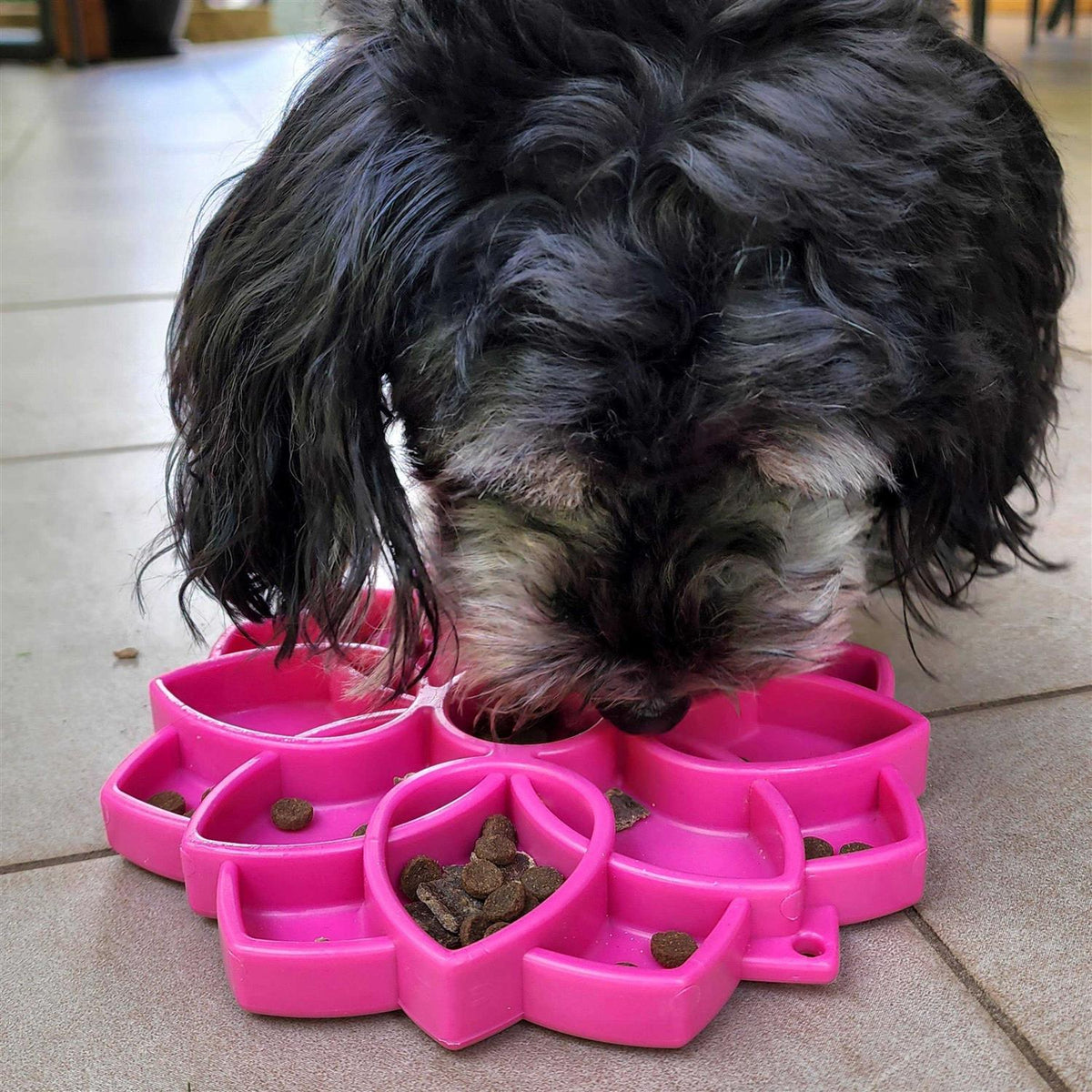 Mandala Design Enrichment Tray for Dogs G126