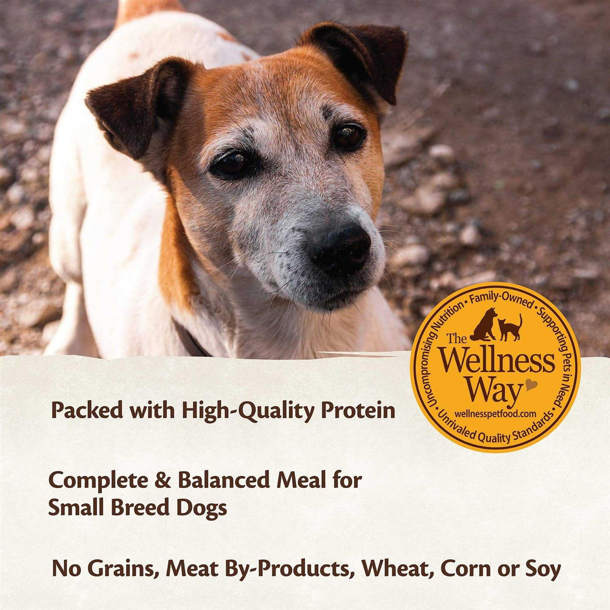 Grain Free Small Breed Wet Dog Food R82327