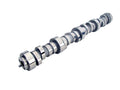 LS1 Camshaft J605403