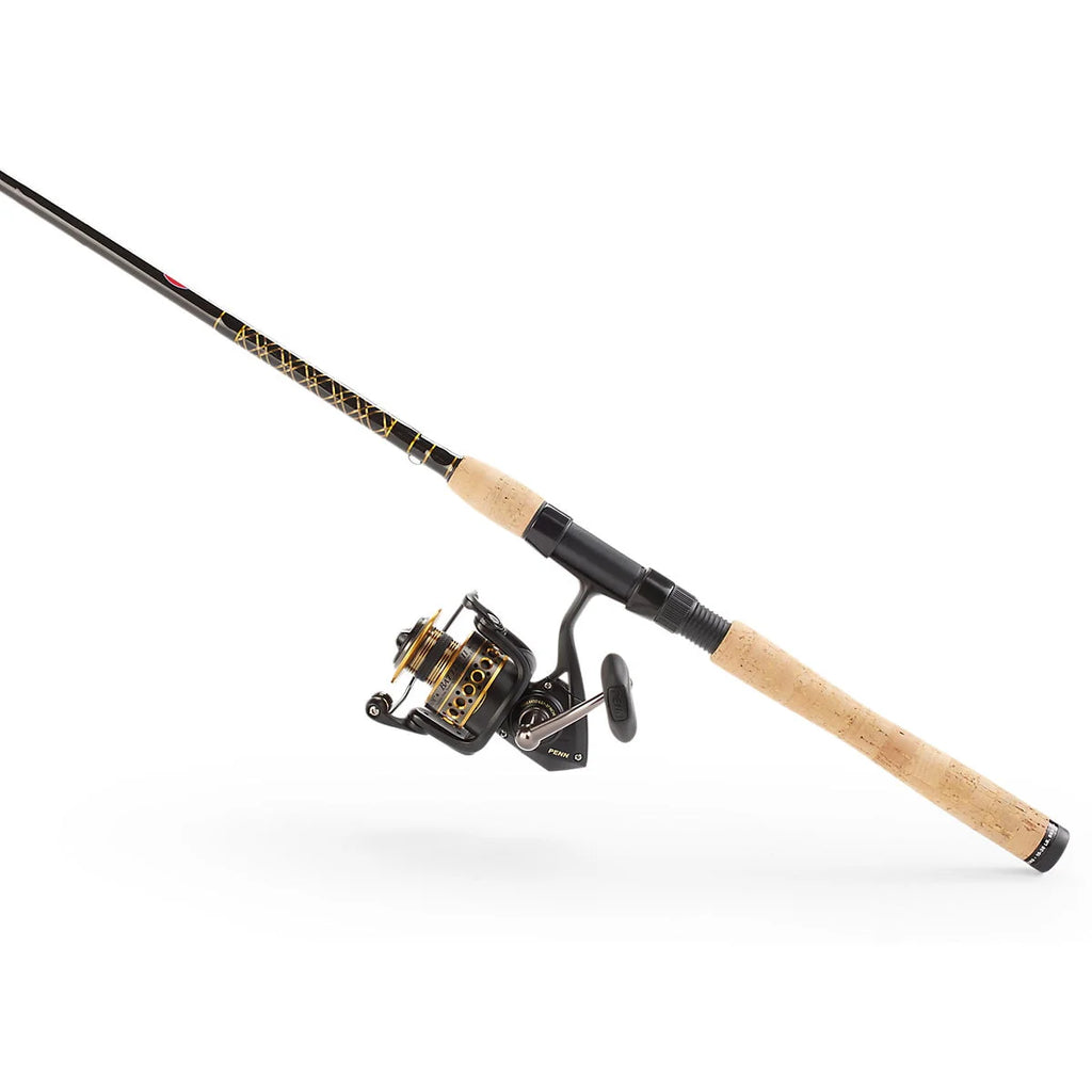 Spinning Fishing Combo R269
