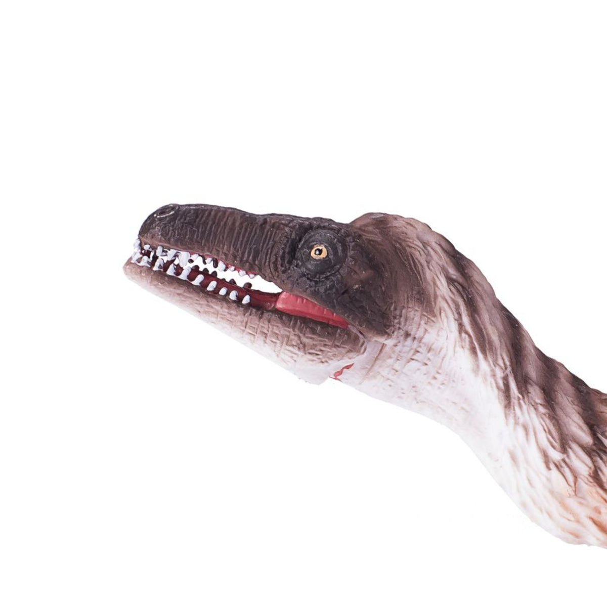 Articulated Jaw Troodon Dinosaur Figurine A96859