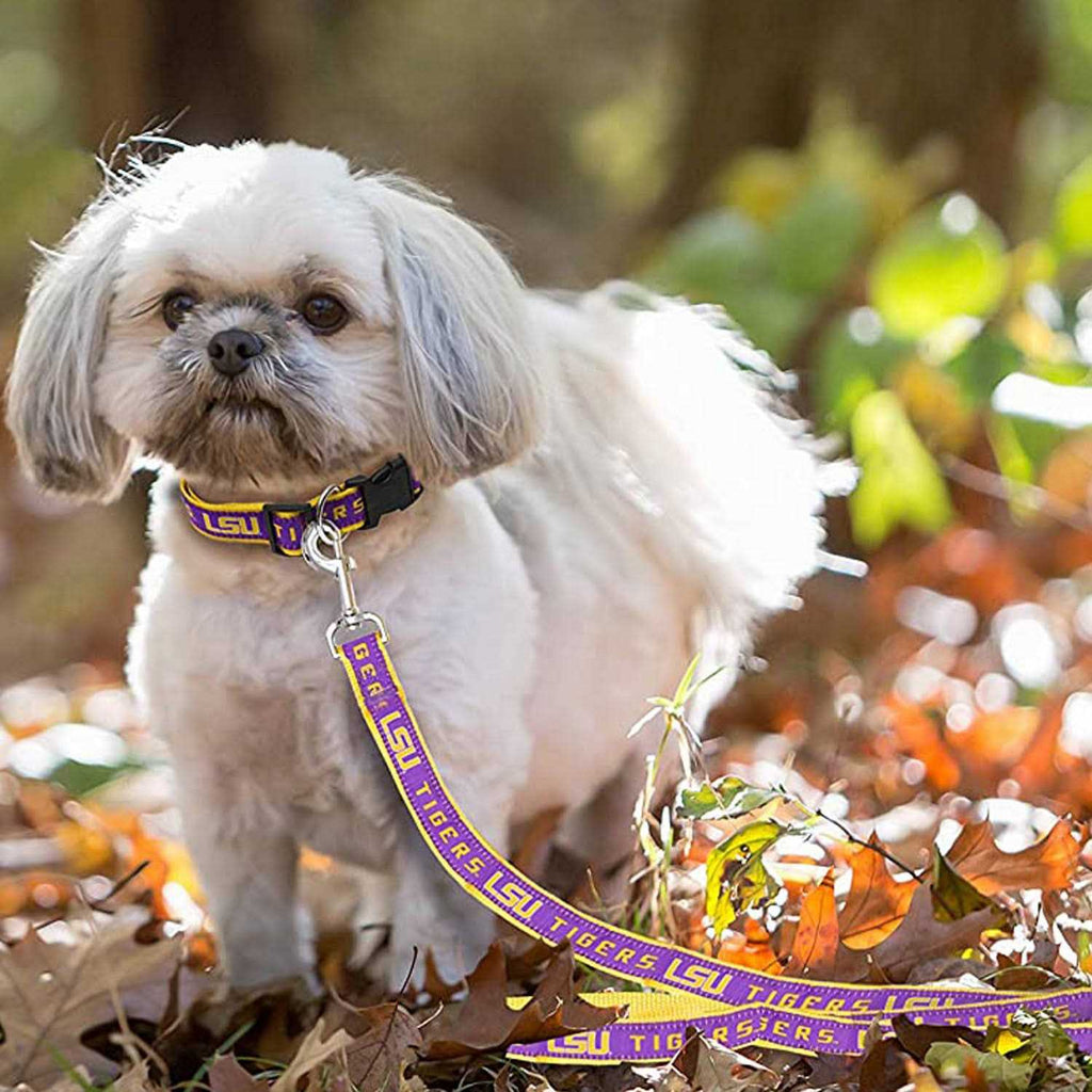 Pet Leash L715371
